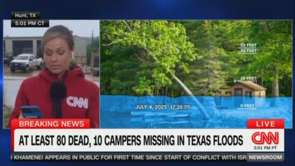 CNN