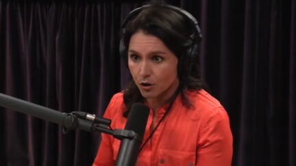 Tulsi Gabbard
