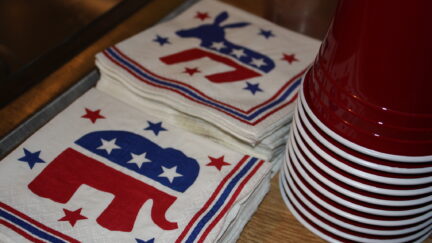 Republican elephant and Democrat donkey napkins and red solo cups