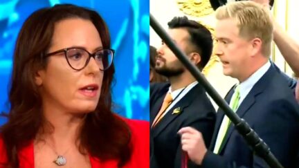 Maggie Haberman Narrowly Defends Fox's Peter Doocy After CNN Anchor Bashes MAGA-fied Trump Press Pool