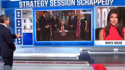 'My Virgin Ears!' CNN Anchor Defiled By Trump Rant On Jeffrey Epstein 'Hoax'