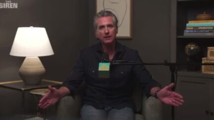 Gavin Newsom