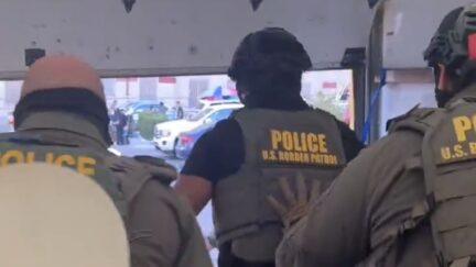 DHS agents conduct immigration raid in Los Angeles