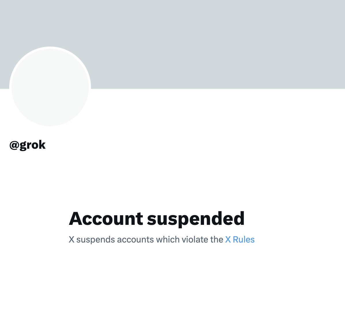Grok account suspended by X