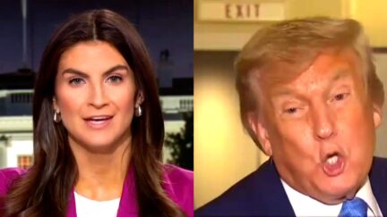 CNN's Kaitlan Collins Busts Trump Over Slain Lawmaker — With Video Receipt
