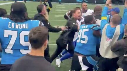 Scuffle at the end of Bill-Panthers game