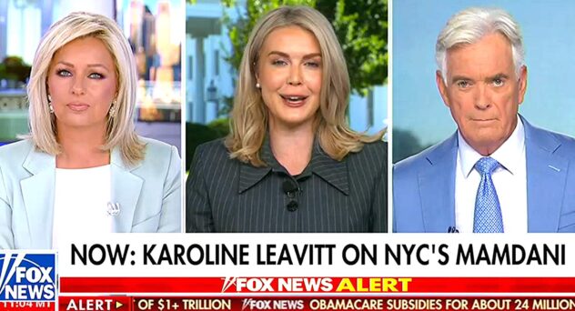 Trump Spox Went On Stunning Hate Rant At Half The Country — Fox Anchors Silent