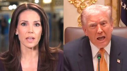 CNN Anchor Calls Trump Out For 'Jetting Off To Florida' While Trying To 'Avoid' Paying SNAP-Food Stamps