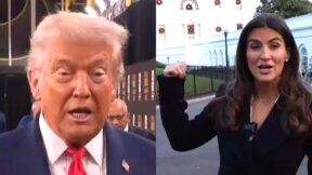 President Donald Trump attacked CNN anchor and senior White House correspondent Kaitlan Collins in a vicious error-riddled rant iin which he called her 