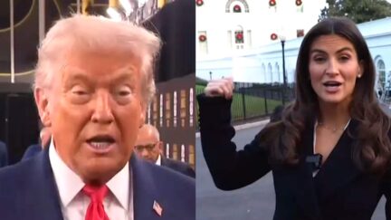 President Donald Trump attacked CNN anchor and senior White House correspondent Kaitlan Collins in a vicious error-riddled rant iin which he called her "Stupid" and "Nasty."
