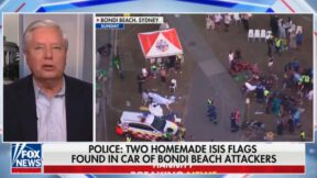 Stark raving mad Lindsey Graham