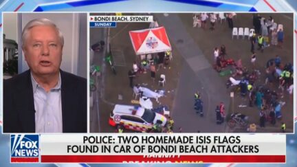 Stark raving mad Lindsey Graham