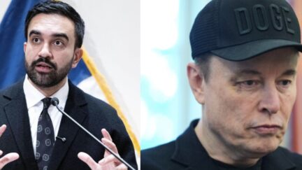 Elon Musk and Zohran Mamdani