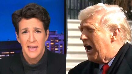 'You Are Winning! Trump Is In Retreat!' Rachel Maddow Cheers ICE Protesters