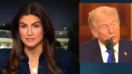 CNN's Kaitlan Collins Sets Table For Trump SOTU Amid 'Major Defeat' and 'Tumbling' Stock Market