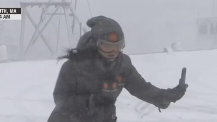 AccuWeather's Ali Reid