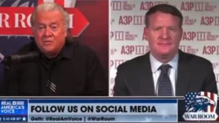 Steve Bannon and Mike Davis