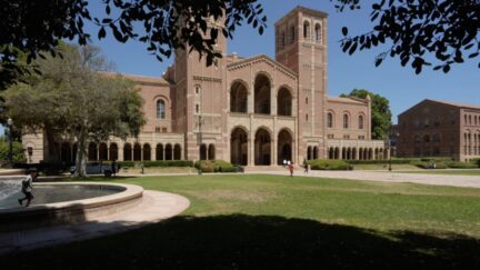UCLA