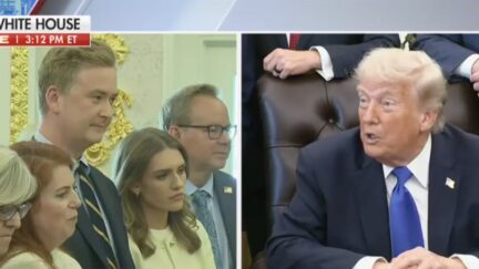 Peter Doocy, Donald Trump