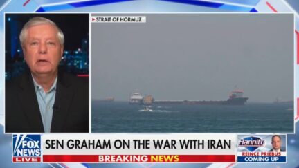 Lindsey Graham