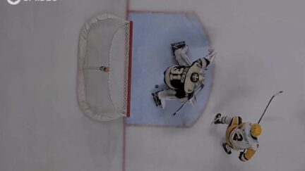 Hershey Bears goal