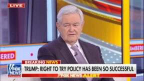 Newt Gingrich