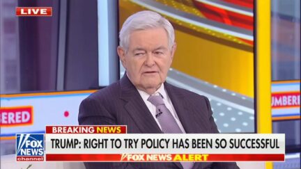 Newt Gingrich