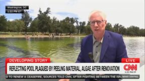 reflecting pool peeling paint