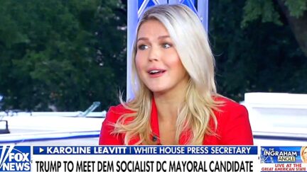 Trump Spox Leavitt Blurts 'Americans Need to Vote For This President' In Fox News Hit