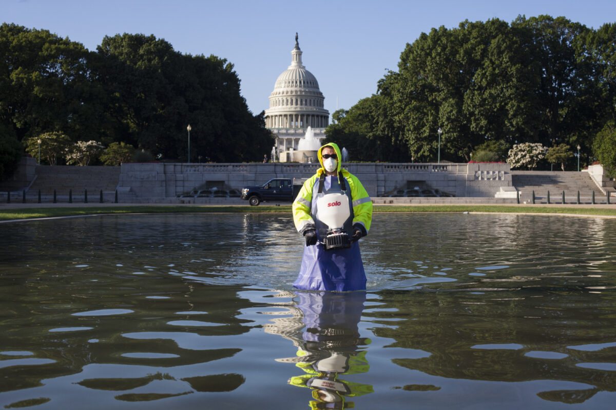 Algae blooms in D.C. Reflecting Pool days after Trump’s $14 million renovation