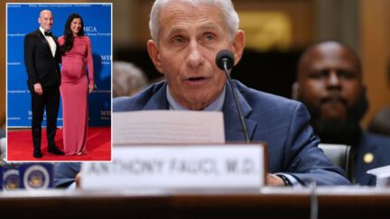 composite; inset stephen and katie miller on the red carpet; fauci testifying