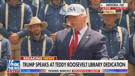 President Donald Trump