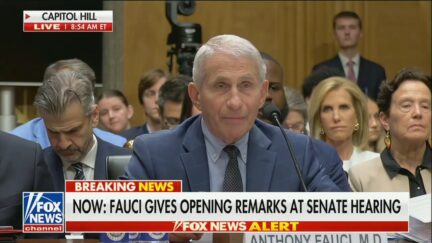 Laura Ingraham sits behind Anthony Fauci at hearing
