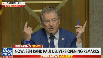 Rand Paul questioning Dr. Anthony Fauci at Senate hearing