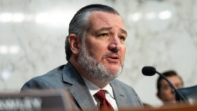 ted cruz