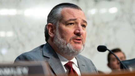 ted cruz