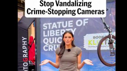 The Free Press Flock Safety