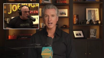 Gavin Newsom calls Joe Rogan an 