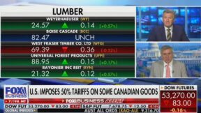 Ashley Webster interviewing Stephen Moore on Fox Business