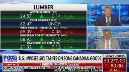 Ashley Webster interviewing Stephen Moore on Fox Business