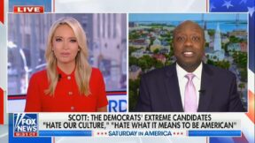 Kayleigh McEnany Tim Scott