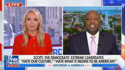 Kayleigh McEnany Tim Scott
