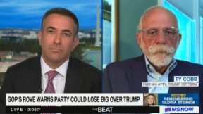 Ari Melber and Ty Cobb