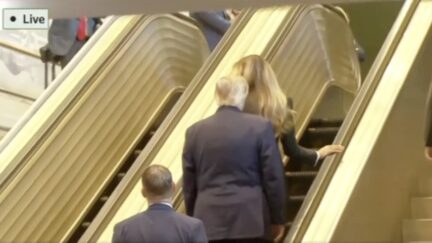 Trump escalator