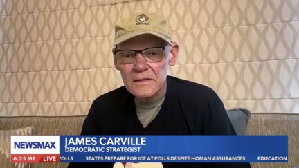 carville on newsmax