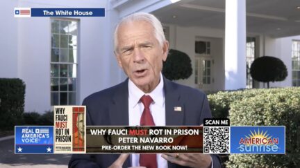 Peter Navarro