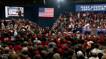 crowd at trump rally