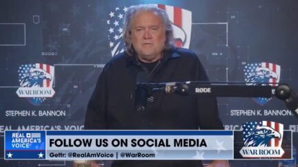 Steve Bannon