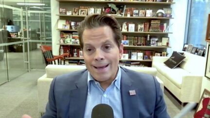 Anthony Scaramucci